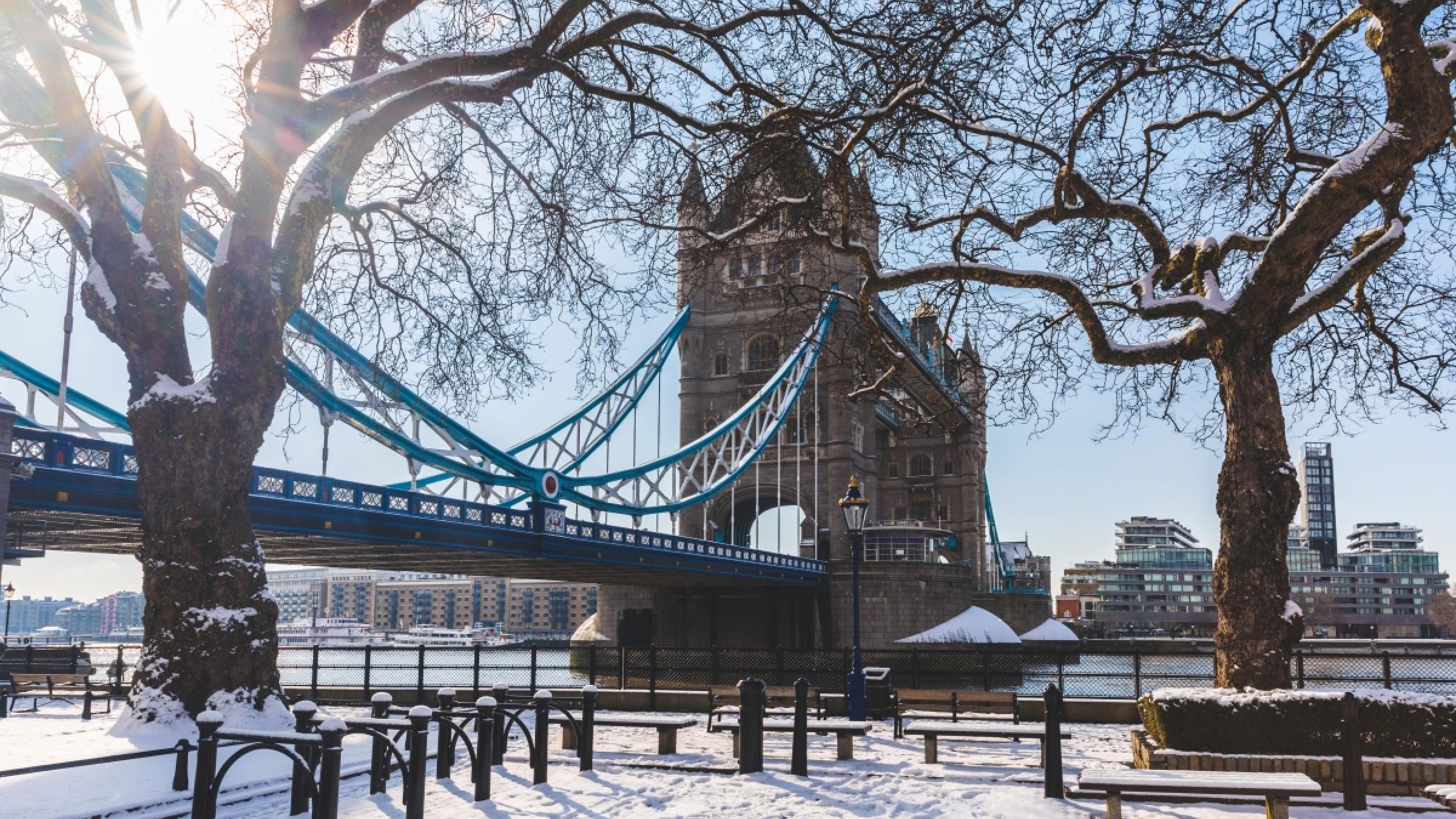 London Winter Walk Alzheimer's Society